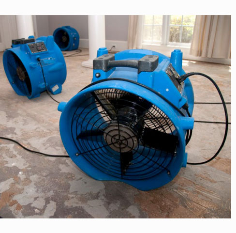 Rainbow Restoration Greenville Sc 🧰 Jan 2025