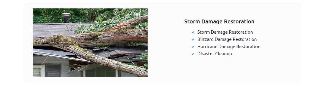Rainbow Restoration Greenville Sc 🧰 Jan 2025